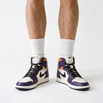 Nike SB Air Jordan 1 LA To Chicago